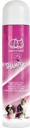 Amici e Felici Shampoo