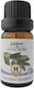Herbstore Ulei Esențial Laurel Comestibil 10ml