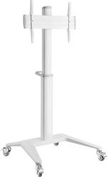 Deltaco ARM-0452 Floor TV Mount up to 70 Inches Deltaco ARM-0452 Floor TV Mount up to 70 Inches