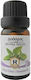 Herbstore Essential Oil Spearmint 10ml