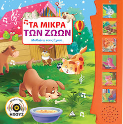 Τα Μικρά των Ζώων, Μαθαίνω τους Ήχους