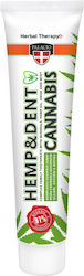 Palacio Hemp & Dent Οδοντόκρεμα 75gr Palacio Hemp & Dent Οδοντόκρεμα 75gr