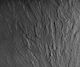 Decorative Sticker Wall Splash Guard Black 1pcs 60x50cm Wenko
