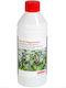 Astral Pool Fragrance Mint