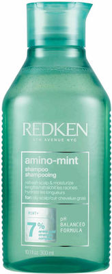 Redken Retail Amino-Mint Scalp Șampoane de Utilizare Zilnică pentru Toate Tipurile Păr 1x300ml