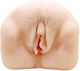 Baile Lifelike Vibrating Pussy Masturbator Мастурбатор Вагина с вибрация