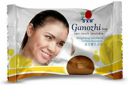 DXN Ganozhi 80gr Seifenriegel