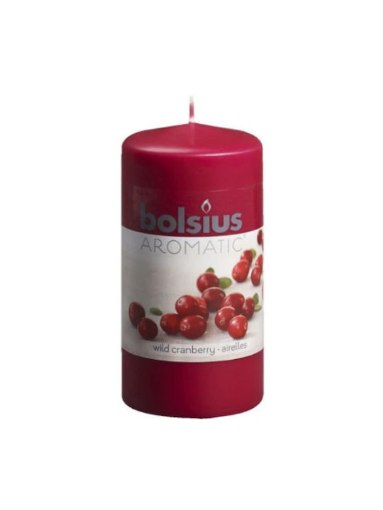 Perfumed Candle Trunk bolsius - Wild Cranberry