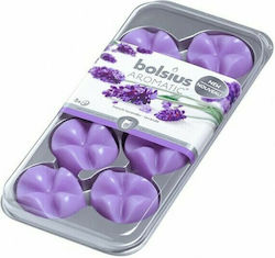 Bolsius Wax Melt Lavender 8pcs