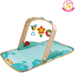 Hape Gimnastică De Lemn Pentru Nou-Născuți
