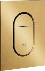 Grohe Arena Cosmopolitan S Spülplatten für Toil...