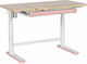 Action Kid Plus Kinderschreibtisch Rosa 60x59x112cm