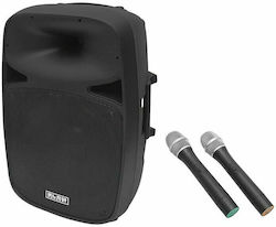Blow Karaoke System with Wireless Microphones RBW-285 DM-60690 in Black Color