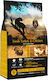 Ambrosia Cat & Kitten Trockenfutter ohne Getreide für junge Katzen mit Huhn / Türkei 5kg