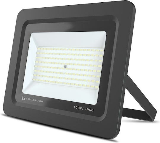 Forever Light Στεγανός Προβολέας LED 100W Φυσικό Λευκό 4500K IP66