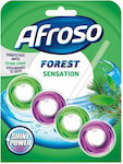 Afroso Block Toilet with Scent Forest Sensation 40gr