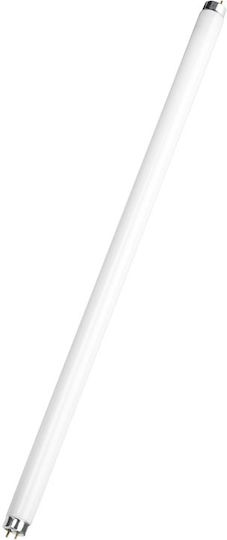 Actis ACS-HER865T8-18 Флуоресцентна Лампа за Цокъл G13 с Форма T8 18W