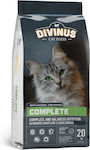 Divinus Pet Nutrition Complete Hrană Uscată pentru Pisici cu Pui 20kg