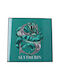 Nemesis Now Harry Potter Crystal Clear Κάδρο Γυάλινο 32x32cm