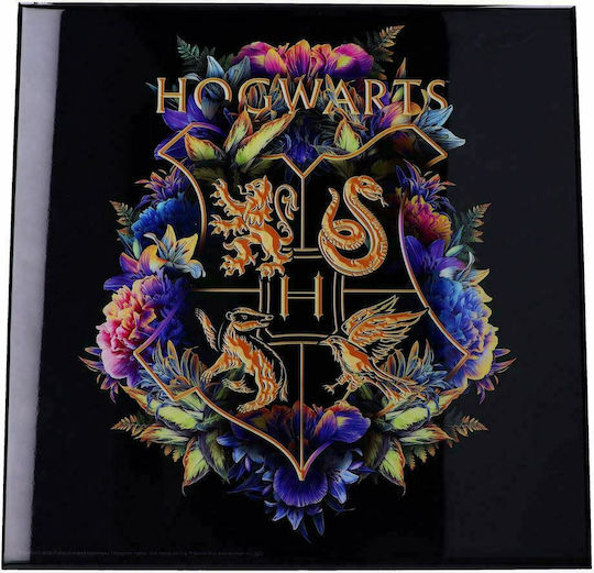 Nemesis Now Harry Potter Hogwarts Fine Oddities Γυάλινο 32x32 cm