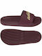 Adidas Adilette Shower Frauen Flip Flops in Burgundisch Farbe