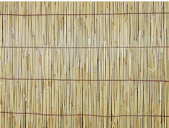 Showood Premium Gard de Bambus cu Întregul Reed 2x5m