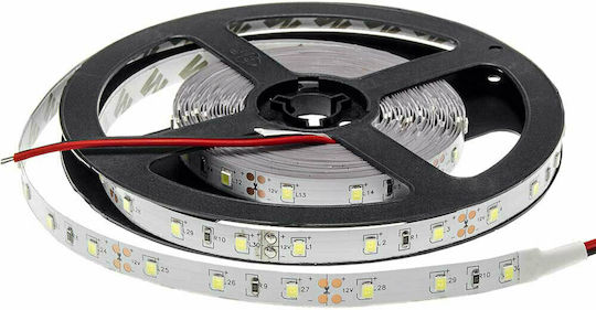 Optonica Ταινία LED 12V Φυσικό Λευκό Φως 5m