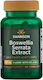 Swanson Boswellia Serrata Extract 125mg 60 φυτικές κάψουλες