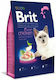 Brit Premium By Nature Adult Ξηρά Τροφή για Ενή...