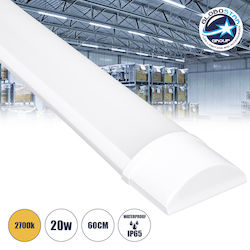 GloboStar Σκαφάκι με Ενσωματωμένο LED GloboStar Σκαφάκι με Ενσωματωμένο LED