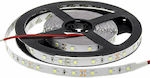 Optonica Bandă LED Alimentare 12V cu Lumină Alb Cald Lungime 5m și 60 LED-uri pe Metru