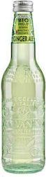 Galvanina Organic Soft Drink Λοιπά Ginger Αle με Ανθρακικό, Βιολογικό 355ml Galvanina Organic Soft Drink Λοιπά Ginger Αle με Ανθρακικό, Βιολογικό 355ml