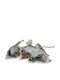 Next Christmas Decorative Pine 17cm