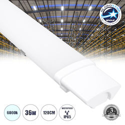 GloboStar Spot Cu LED Încorporat GloboStar Spot Cu LED Încorporat