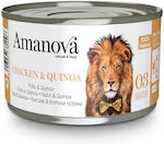 Amanova Natural & Tasty Broth Κοτόπουλο & Quinoa 70gr
