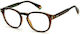 Polaroid Plastic Eyeglass Frame Brown Tortoise ...