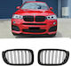 Carner Car Decorative Mask BMW X3 (F25) / X4 (F26) / M4