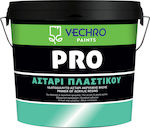 Vechro Pro Αστάρι Πλαστικού Υδατοδιαλυτό Αστάρι Ακρυλικής Βάσης Διάφανο Potrivit pentru Zidărie 10lt