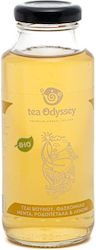 Tea Odyssey Ποσειδών Ice Tea Χωρίς Ανθρακικό, Βιολογικό 250ml