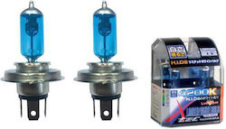 Xtec Lamp H4 Halogen Natural White Xtec Lamp H4 Halogen Natural White