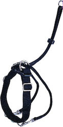 Pet Camelot Εκπαιδευτικό Easy Walker Μπλε 33-47cm