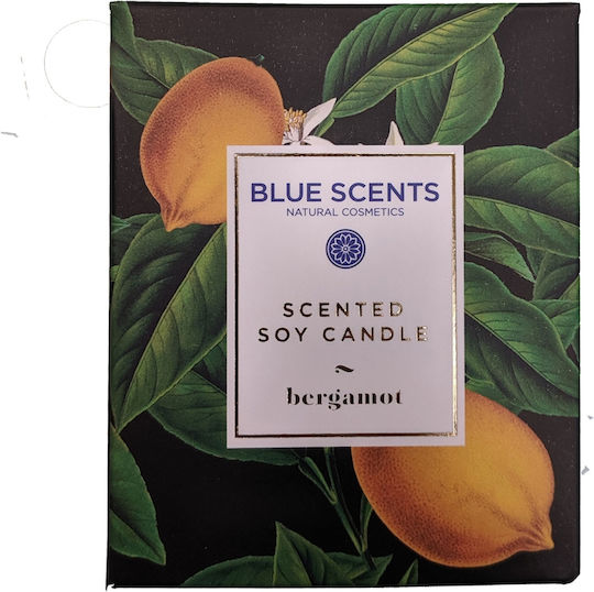 Blue Scents Αρωματικό Σόγιας Bergamot σε Βάζο Μπεζ Blue Scents Αρωματικό Σόγιας Bergamot σε Βάζο Μπεζ