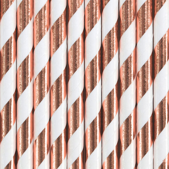 PartyDeco Paper Straws Light Rose Gold Calamakia Chartina 10 Pieces
