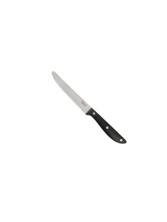 Salvinelli Bistrot CTFBI Messer Lebensmittel aus Edelstahl 11.5cm 12Stück