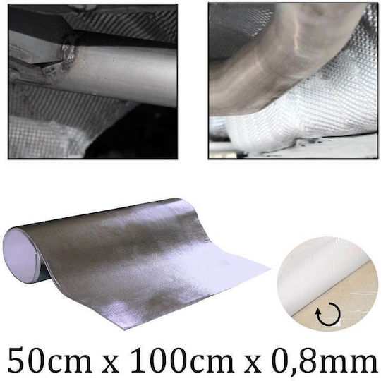 Protective for Car Body 1m x 50cm 1pcs