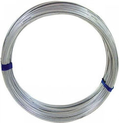 Italtecnica Pflanzenbindedraht 2mmx80m Italtecnica Pflanzenbindedraht 2mmx80m