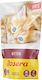 Josera Pate Kitten Wet Food for Young Cats in Pouches with Chicken and Vegetables Grain-Free 85gr