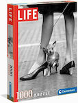 Life Collection Chihuahua Puzzle 2D 1000 Pieces