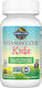 Garden Of Life Vitamin Code Kids Мултивитамин за Енергия Cherry Blueberry 30 жулими таблетки