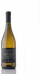 Ktima Alexandridi Bio Euches Ergon Weiß Trocken 750ml Ktima Alexandridi Bio Euches Ergon Weiß Trocken 750ml
